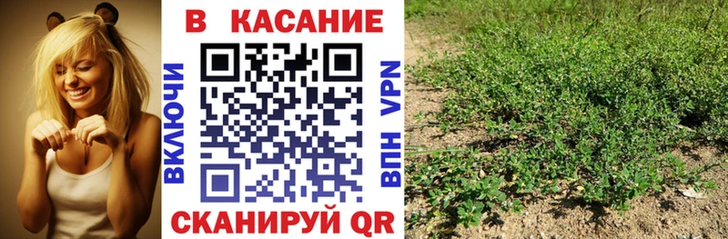 Где продают наркотики Щучье Канабис  COCAIN  ГАШ  Меф мяу мяу 
