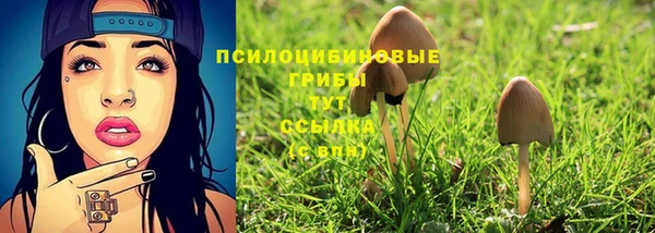 амф Алексин