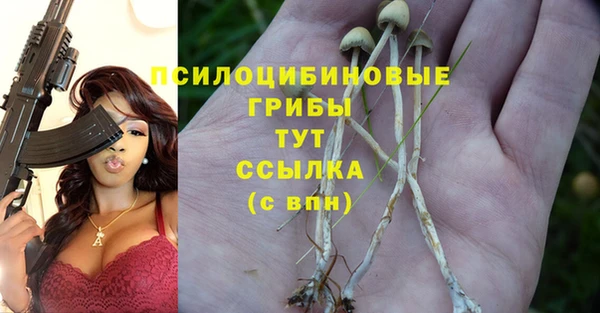 герыч Абинск