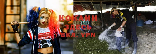 прущие крисы Абаза