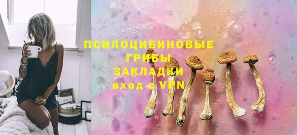 прущие крисы Абаза