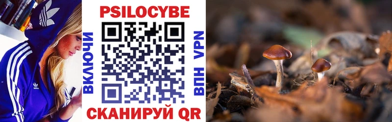 Псилоцибиновые грибы GOLDEN TEACHER  цена   Щучье 