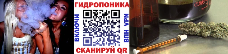 даркнет сайт  Щучье  Бошки марихуана конопля 